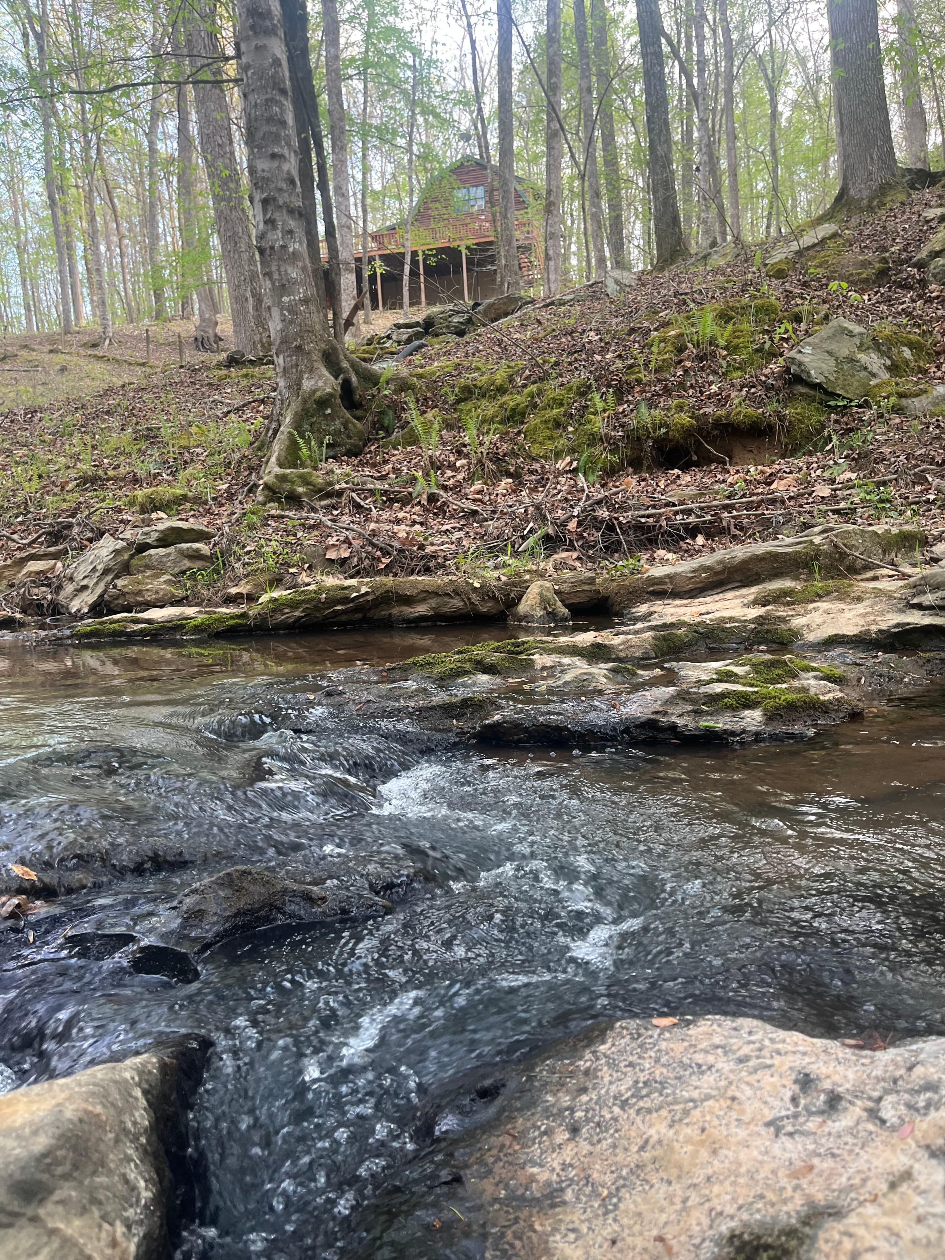 Mossy rock formations along the creek